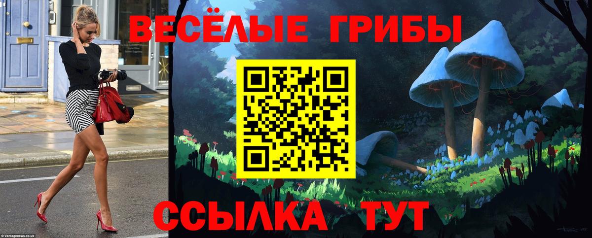Псилоцибиновые грибы Psilocybine cubensis Мценск